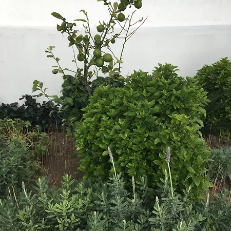 Apartman Emerald Cozy Rhodes City