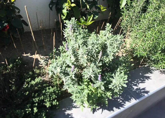 Emerald Cozy * Родос