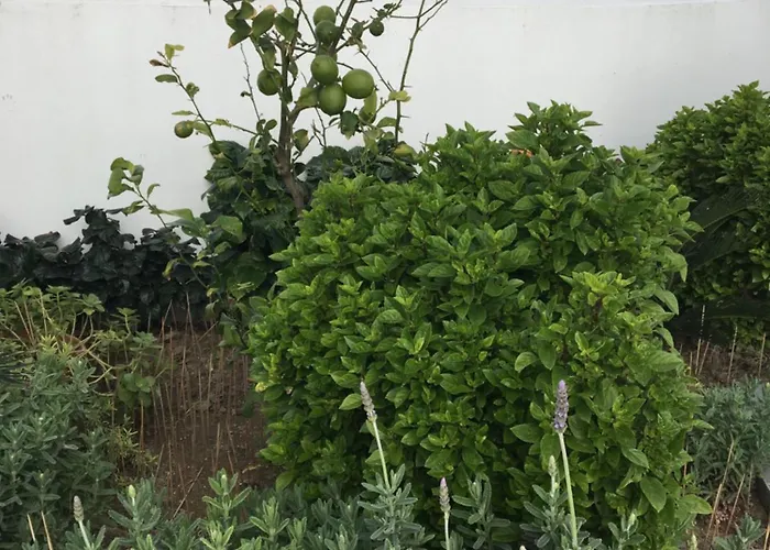 公寓 Emerald Cozy Rhodes City